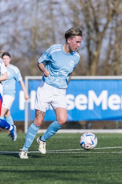 Bild 159 - F Hamburger SV 3 - Blau-Weiss 96 : Ergebnis: 5:1